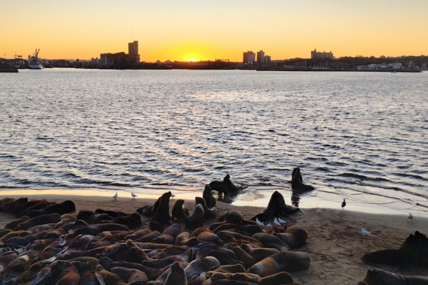 Fin de semana largo: 3,2 millones de turistas gastaron $42.646 millones