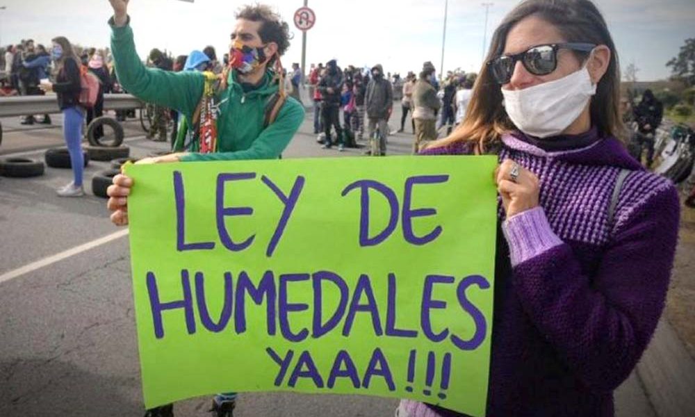 Humedales: el FdT busca sumar intendentes para destrabar el proyecto