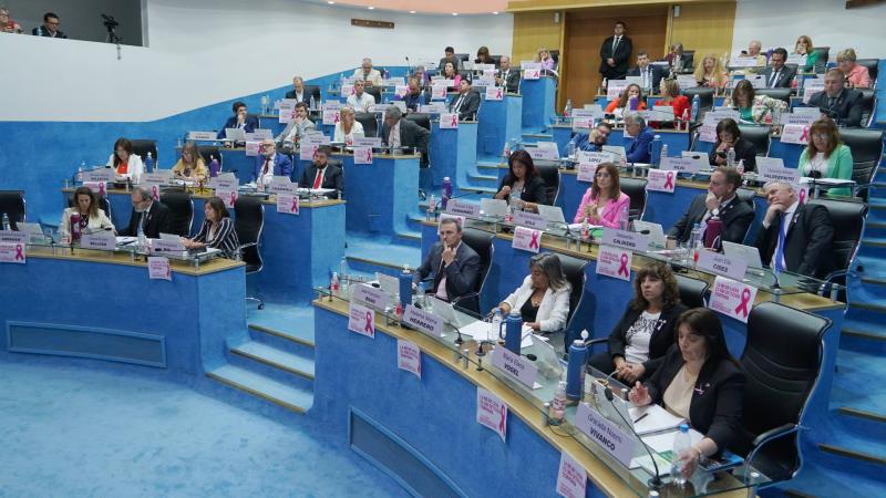 Río Negro aprobó una reforma electoral: adelanta elecciones y habrá colectoras