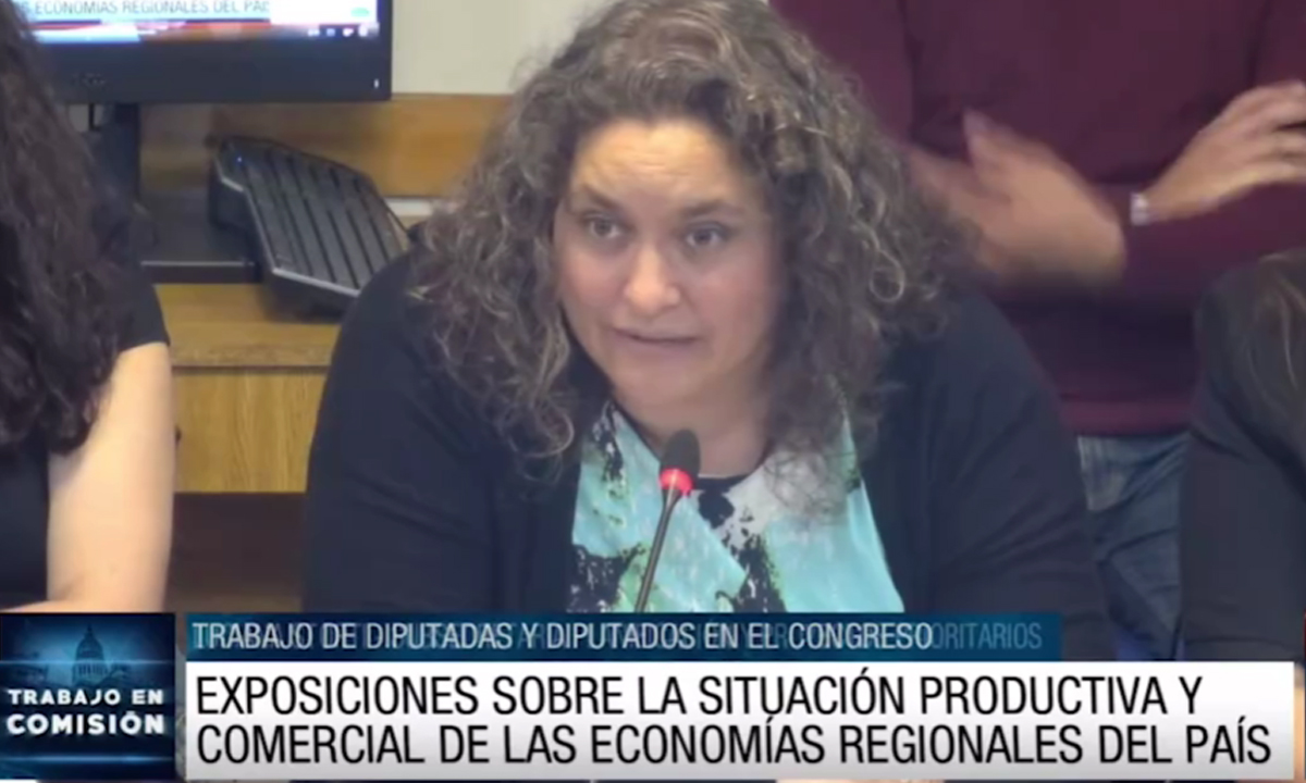 Diputados: expusieron sobre la situación de las economías regionales