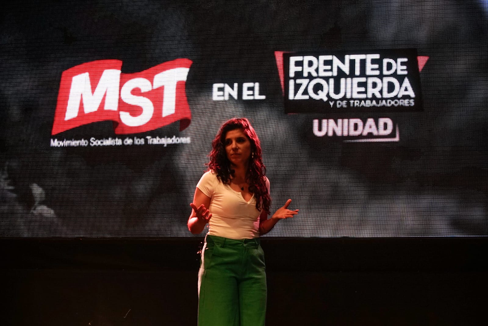 Cele Fierro se lanzó como precandidata para la interna del FIT