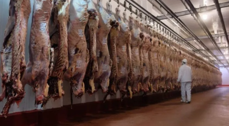 Luego de ocho años, Argentina exportará carne bovina a México