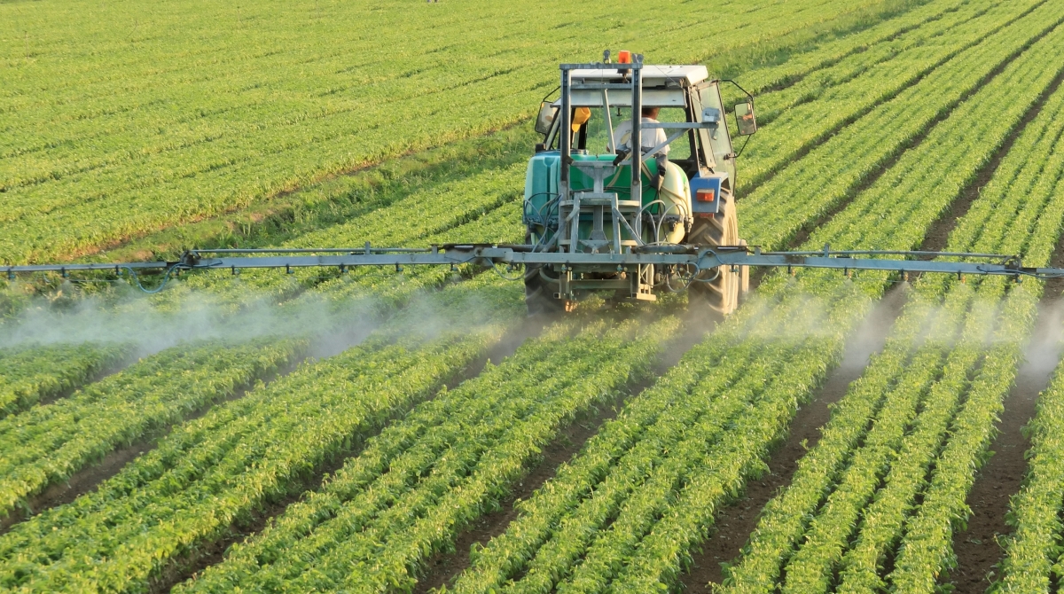 El Gobierno lanzará un programa para productores agropecuarios