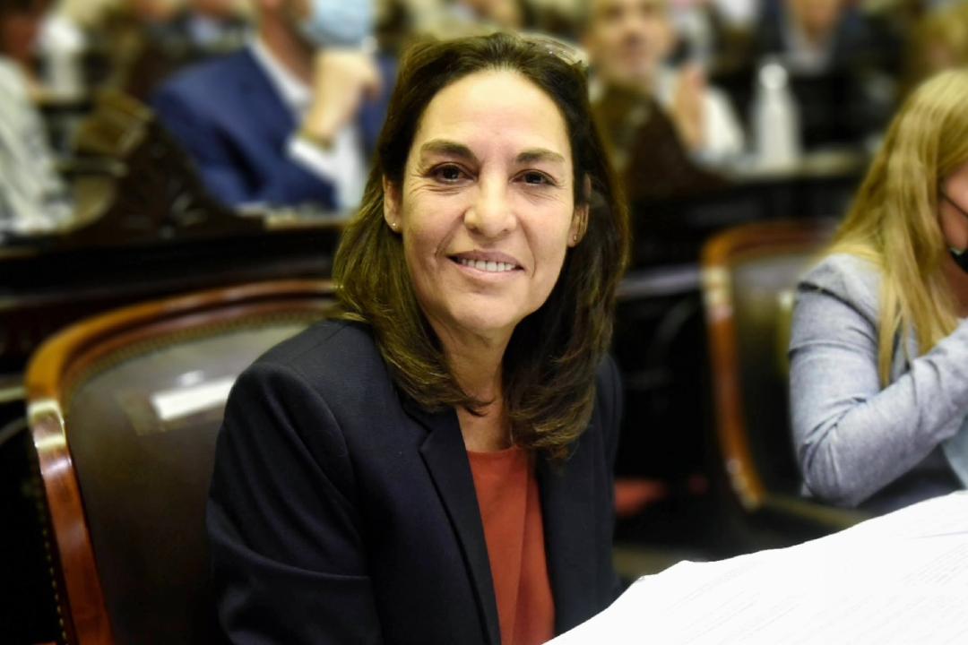 JxC repudió las declaraciones de Insfrán y pidió la intervención del Inadi y Andis