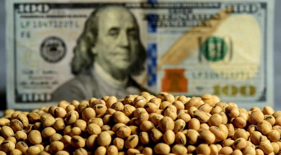 Dólar soja 2: en el primer día se liquidaron más de US$ 290 millones