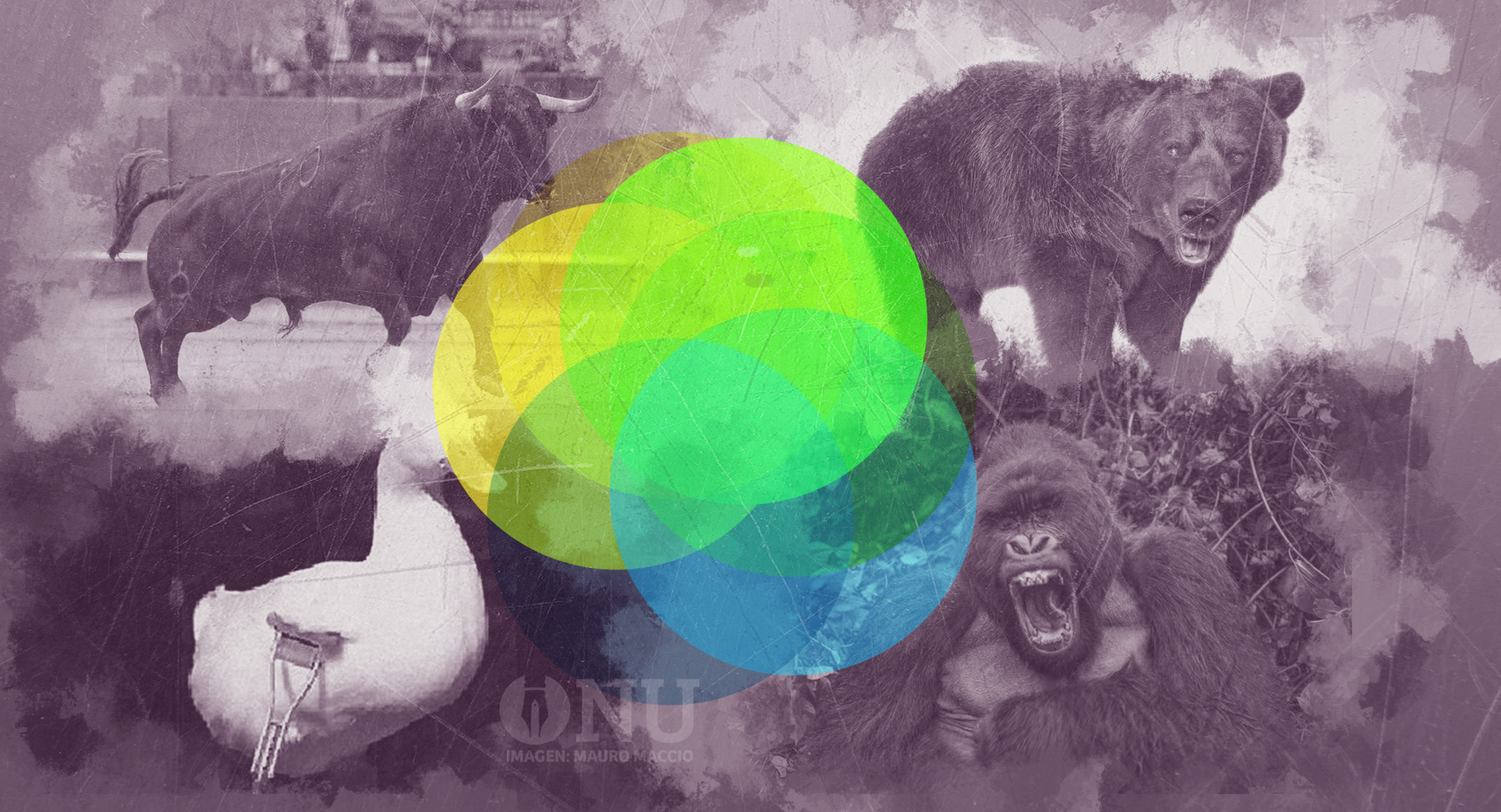 Un pálido zoológico habitado por patos, toros, osos y gorilas