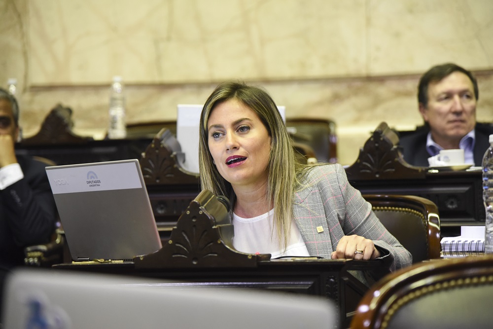 Comisión de Juicio Político: una diputada de Massa pidió que la reemplacen