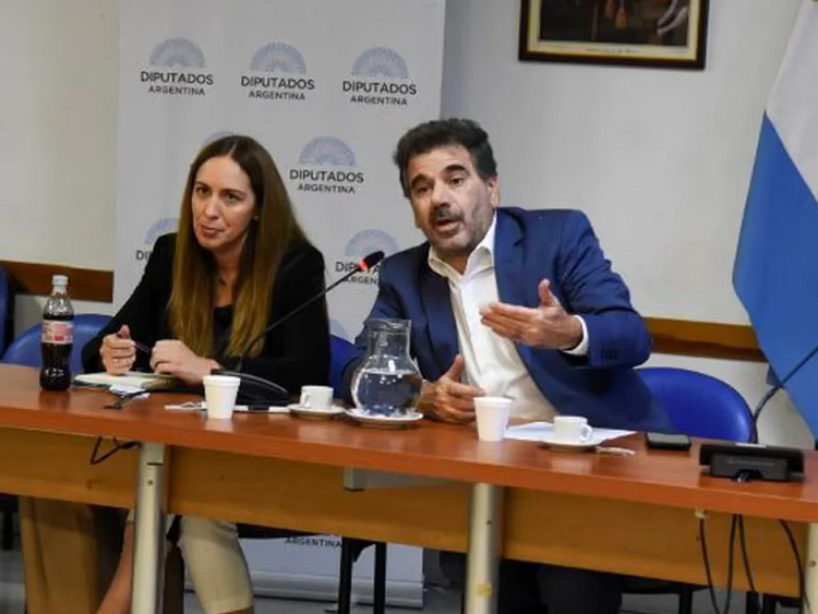 Vidal y Ritondo proponen usar al Ejército contra el narcotráfico