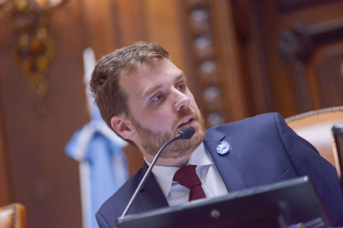 Ferrario: "La boleta única es más poder a la gente y menos a la política"