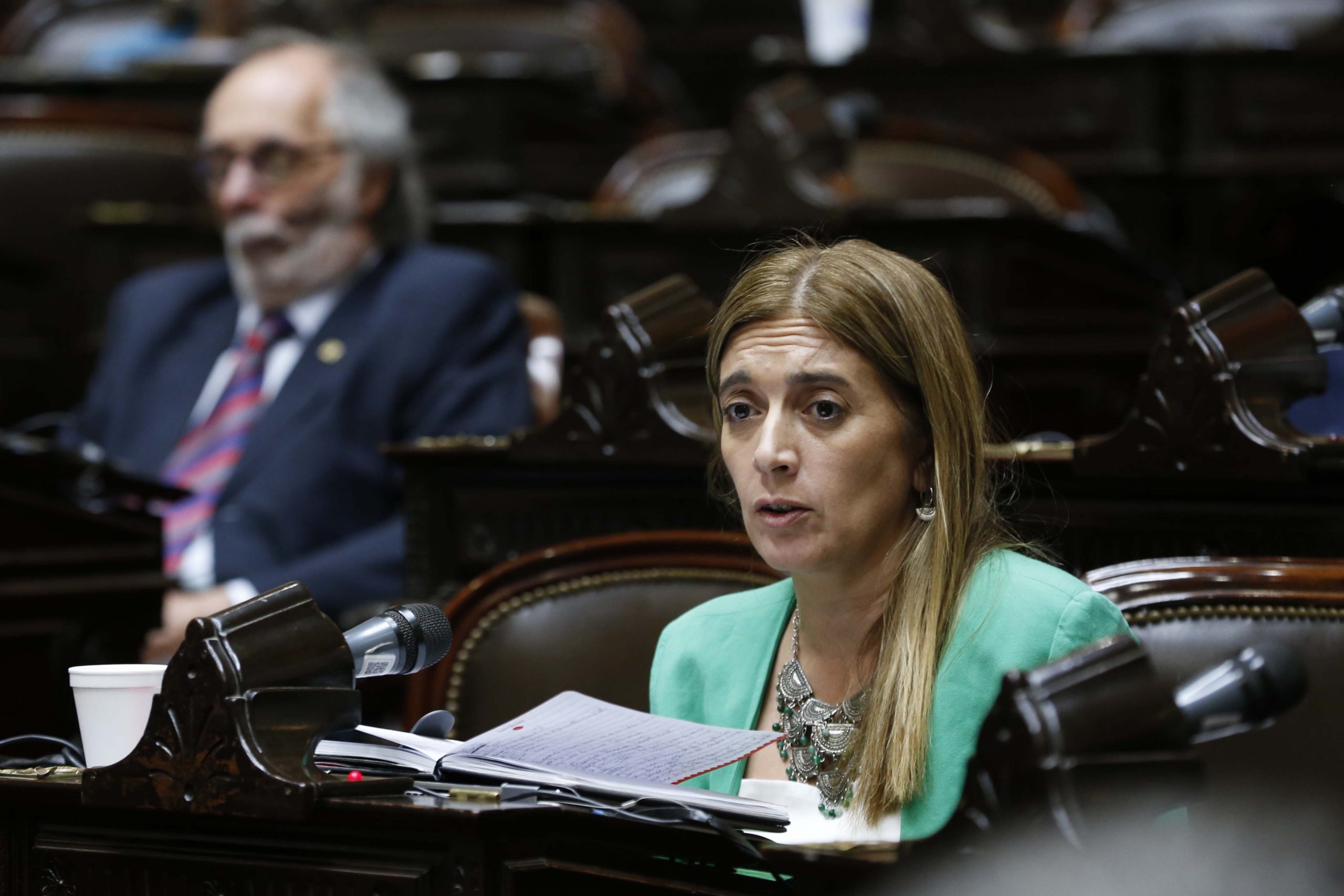 La UCR cargó contra Milei: "Eliminar la obligatoriedad trae consecuencias desastrosas"