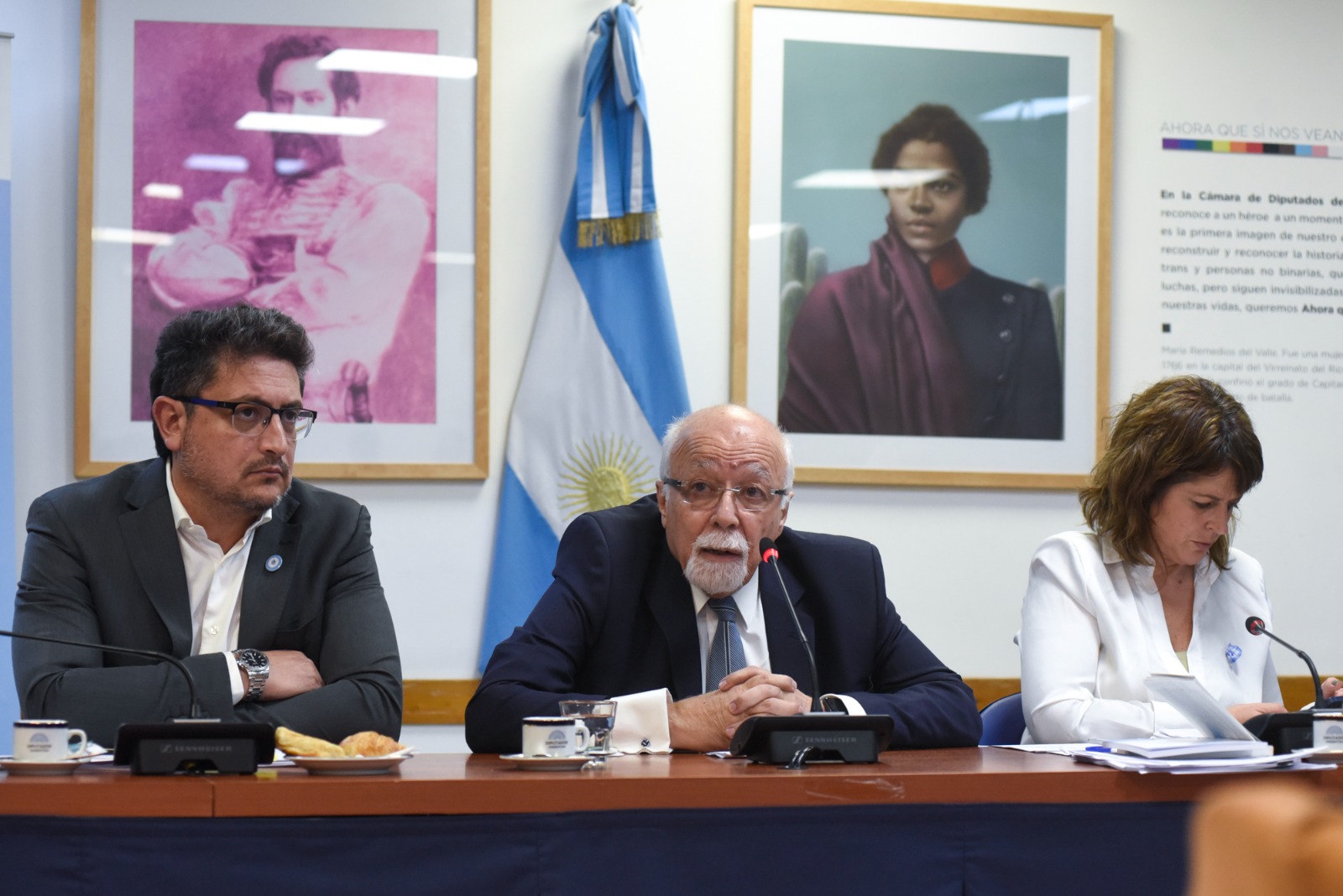 Juicio a la Corte: la Justicia obligó a Tonon a presentarse ante Diputados