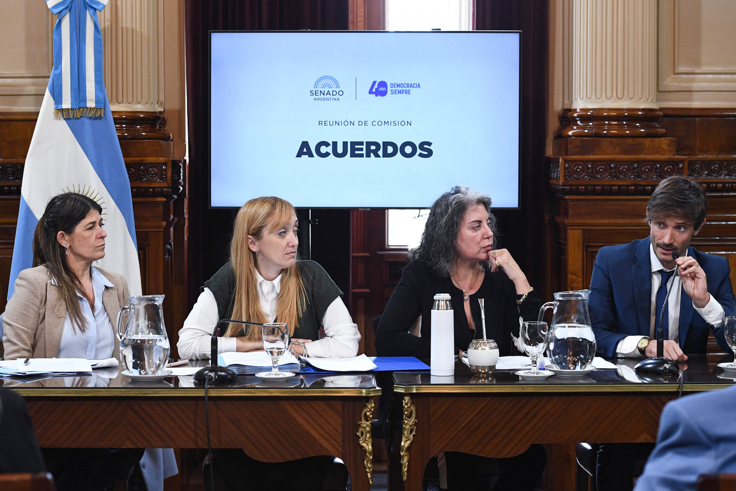 Entre chicanas y un clima electoral, el Senado analiza los pliegos de jueces