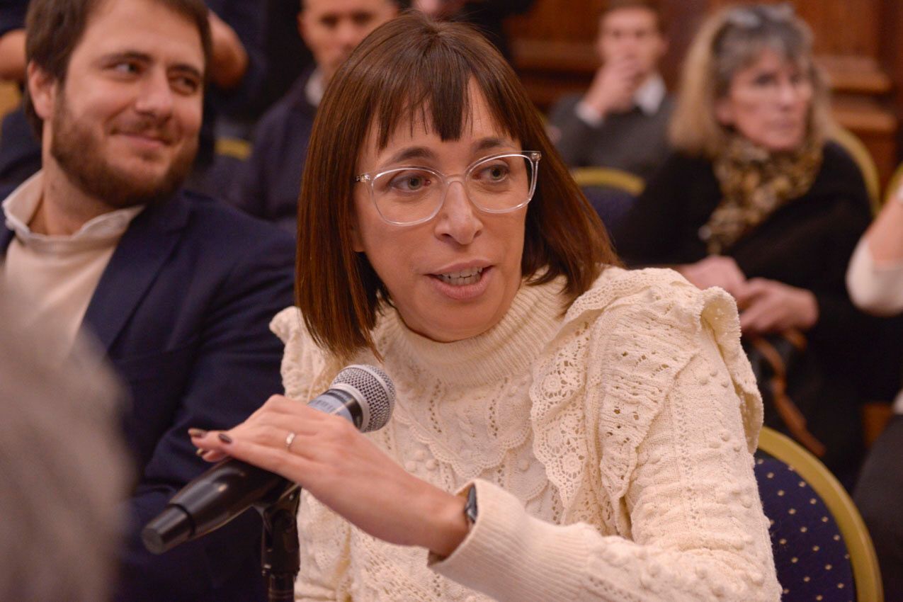 Fidel: "El proyecto busca regular el uso de energía de fuentes renovables"