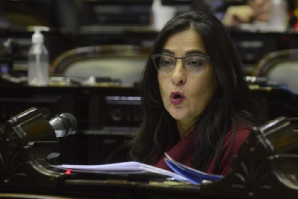 Luego del discurso de CFK, presentaron un proyecto contra el negacionismo