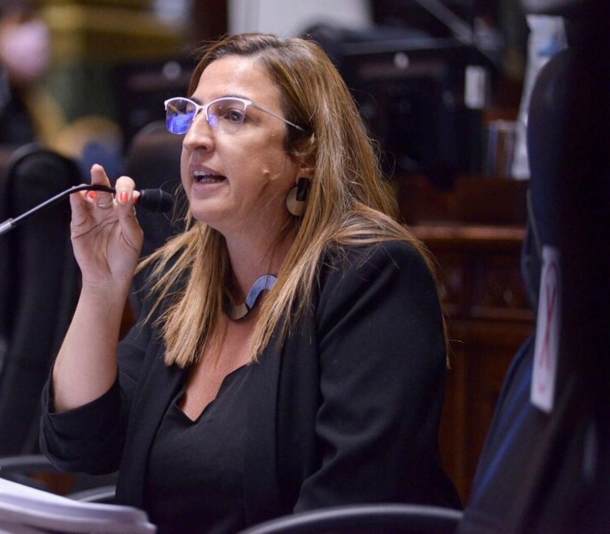 Neira: "Tienen que explicar cómo funcionan las brigadas de la Policía de la Ciudad"