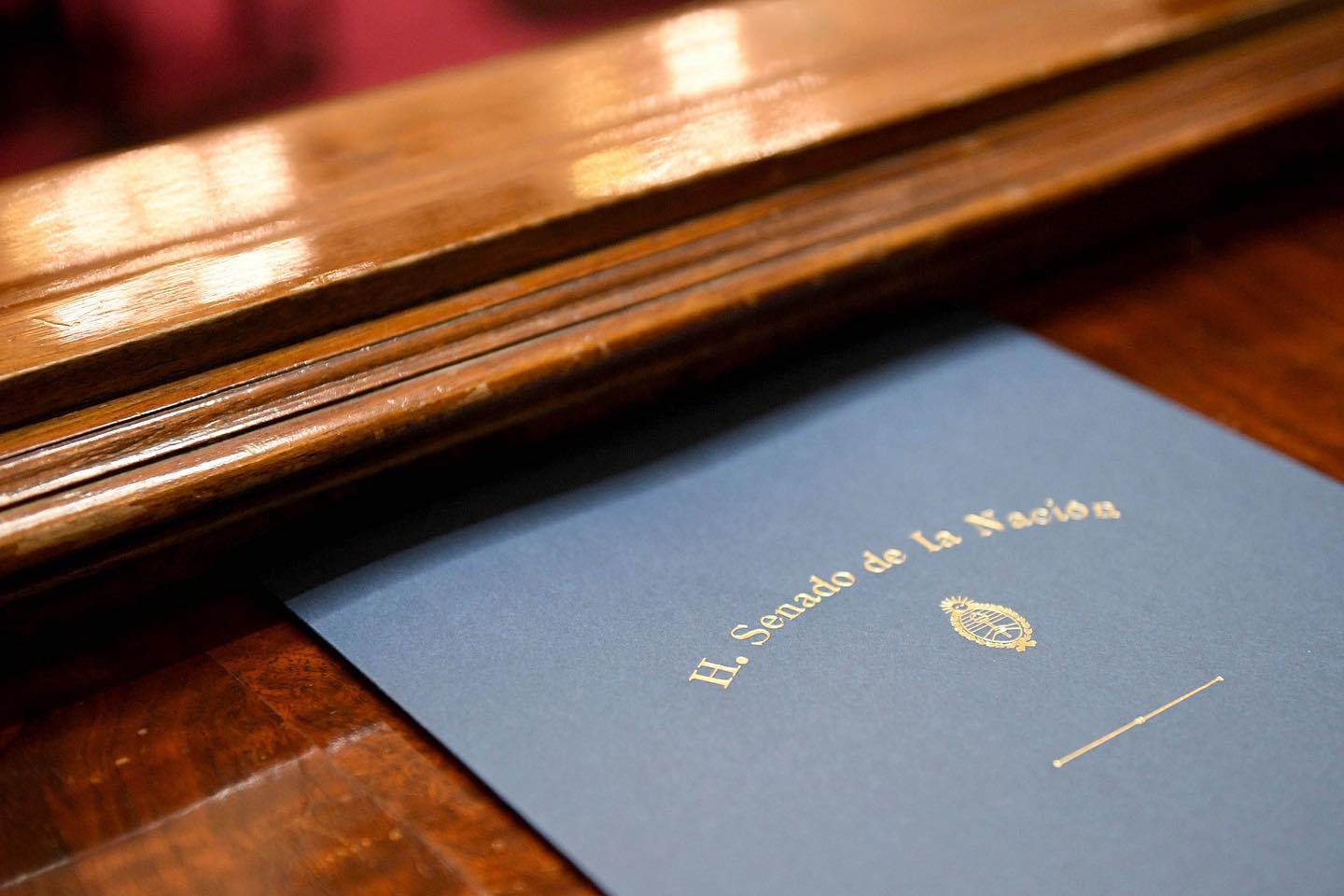 Quiénes son los candidatos de Milei que podrían llegar al Senado