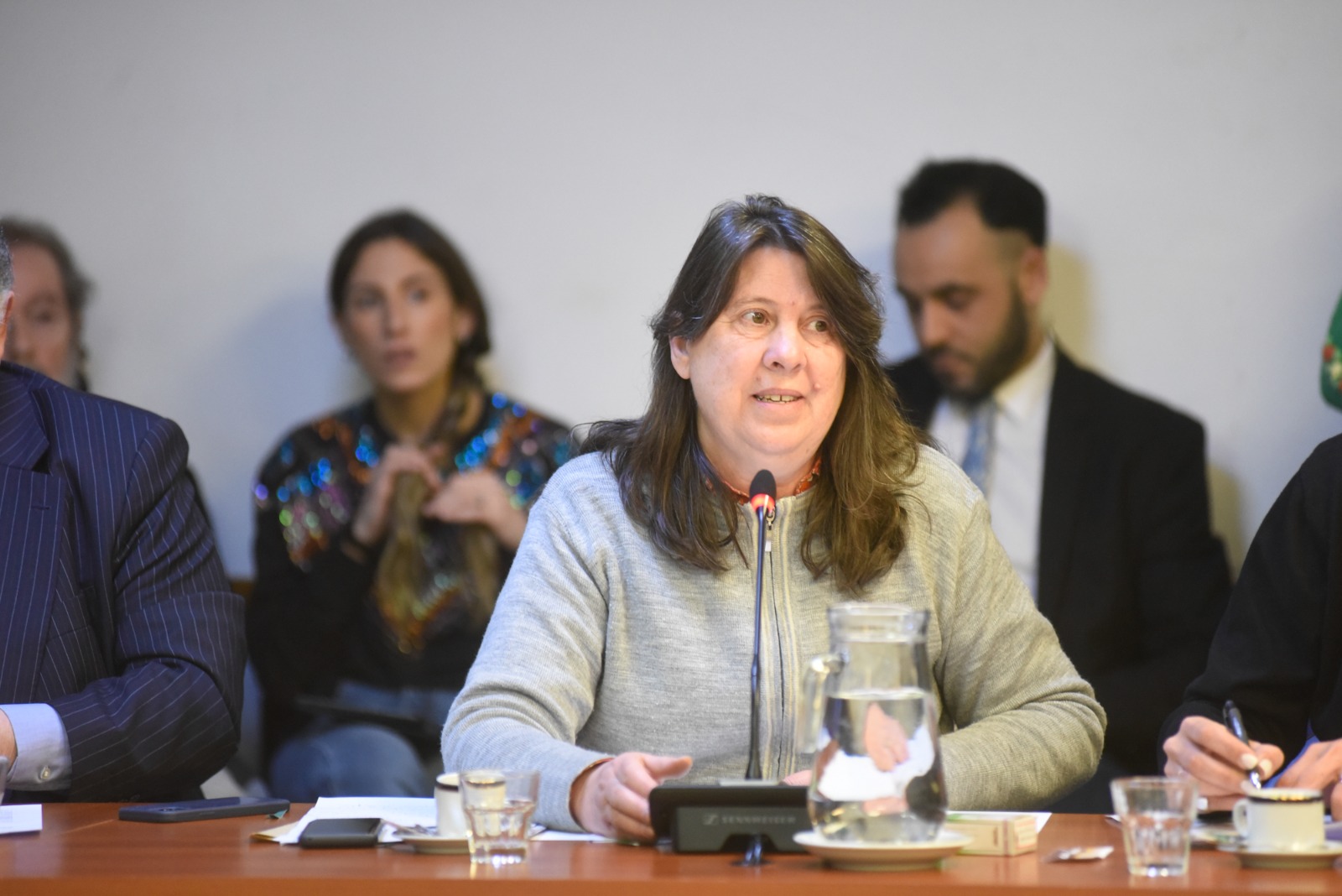 Diputados dictaminó a favor de la capacitación en discapacidad