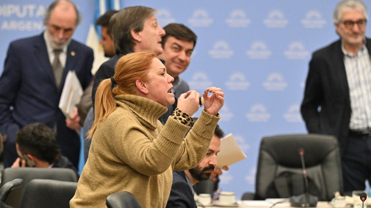 Duros cruces en el debate en comisión de la Ley de Alquileres: “Vos sos chorra”