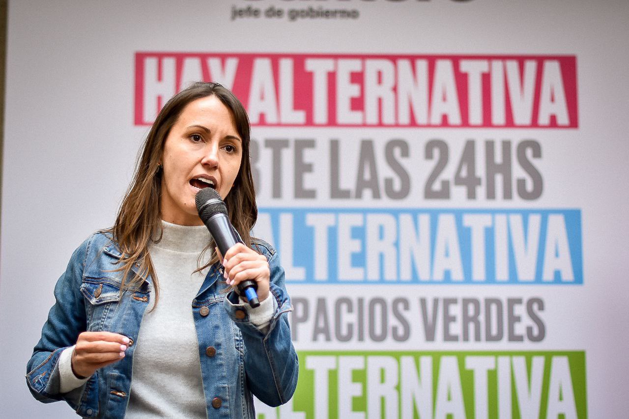 Bielli presentó un proyecto para abordar la problemática de la salud mental