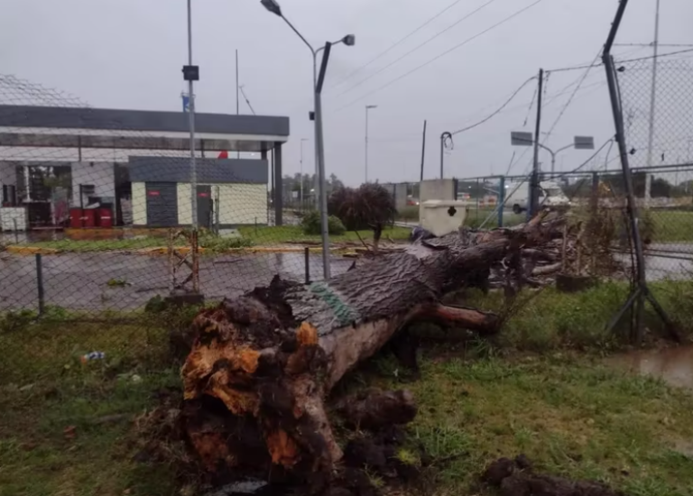 Apagón en el norte: Salta, Tucumán y Jujuy sin luz