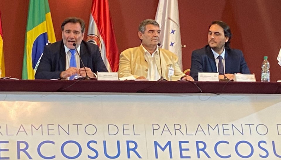 Un acuerdo entre rebeldes de LLA y UP permitirá que Olmedo presida el Parlasur