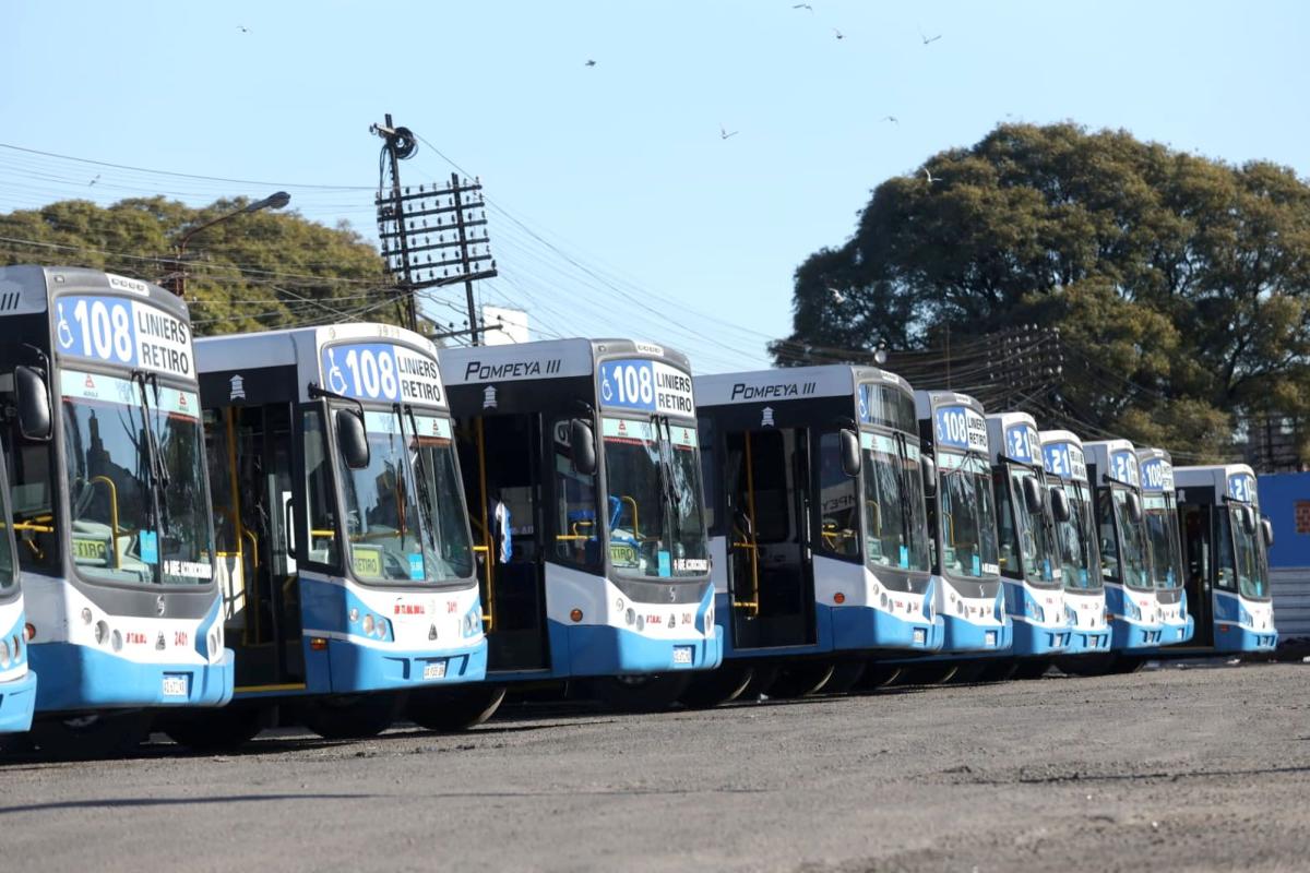 Reducción del servicio de colectivos: reunión entre el Gobierno y empresas