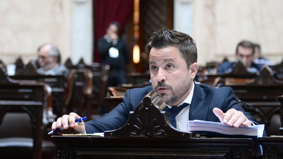 DNU: la UCR presentó dos proyectos de ley espejo en el Congreso