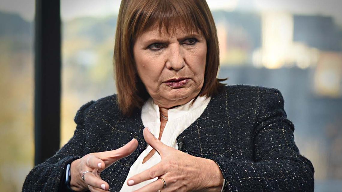 Bullrich a JxC: "Voten la Ley Ómnibus, denle un primer cheque en blanco a Milei"