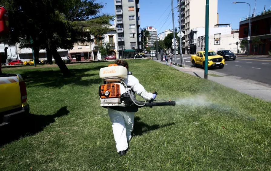 El GCBA reforzó la desinsectación por la invasión de mosquitos