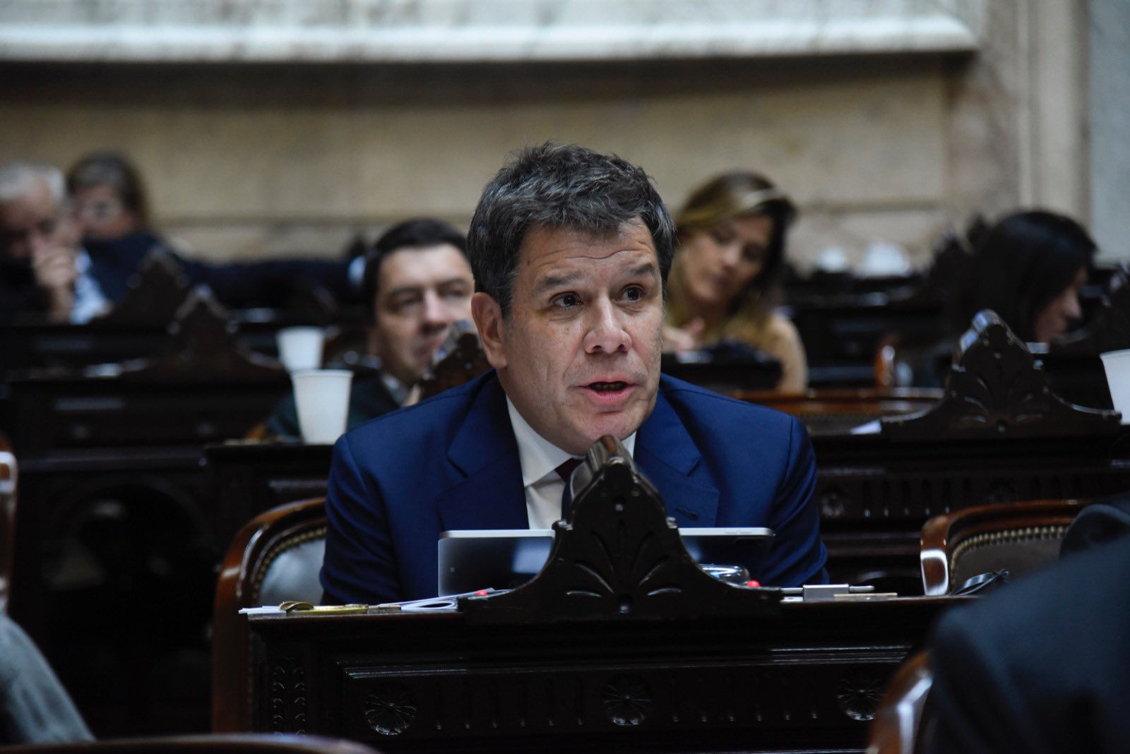 Manes apuntó contra Milei y divide a la UCR: "Necesitamos estadistas, no leones"