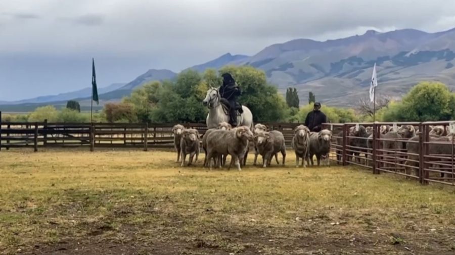 Polémica Ley de Tierras: los 20 mayores terratenientes de la Argentina