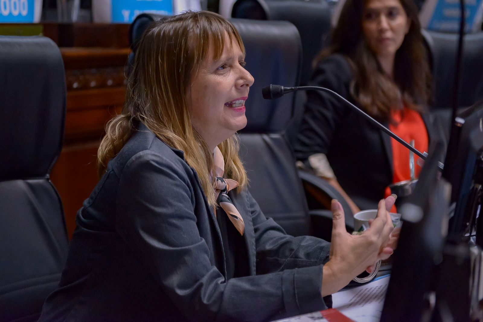 Barry: "Macri es el brazo armado de Bullrich"