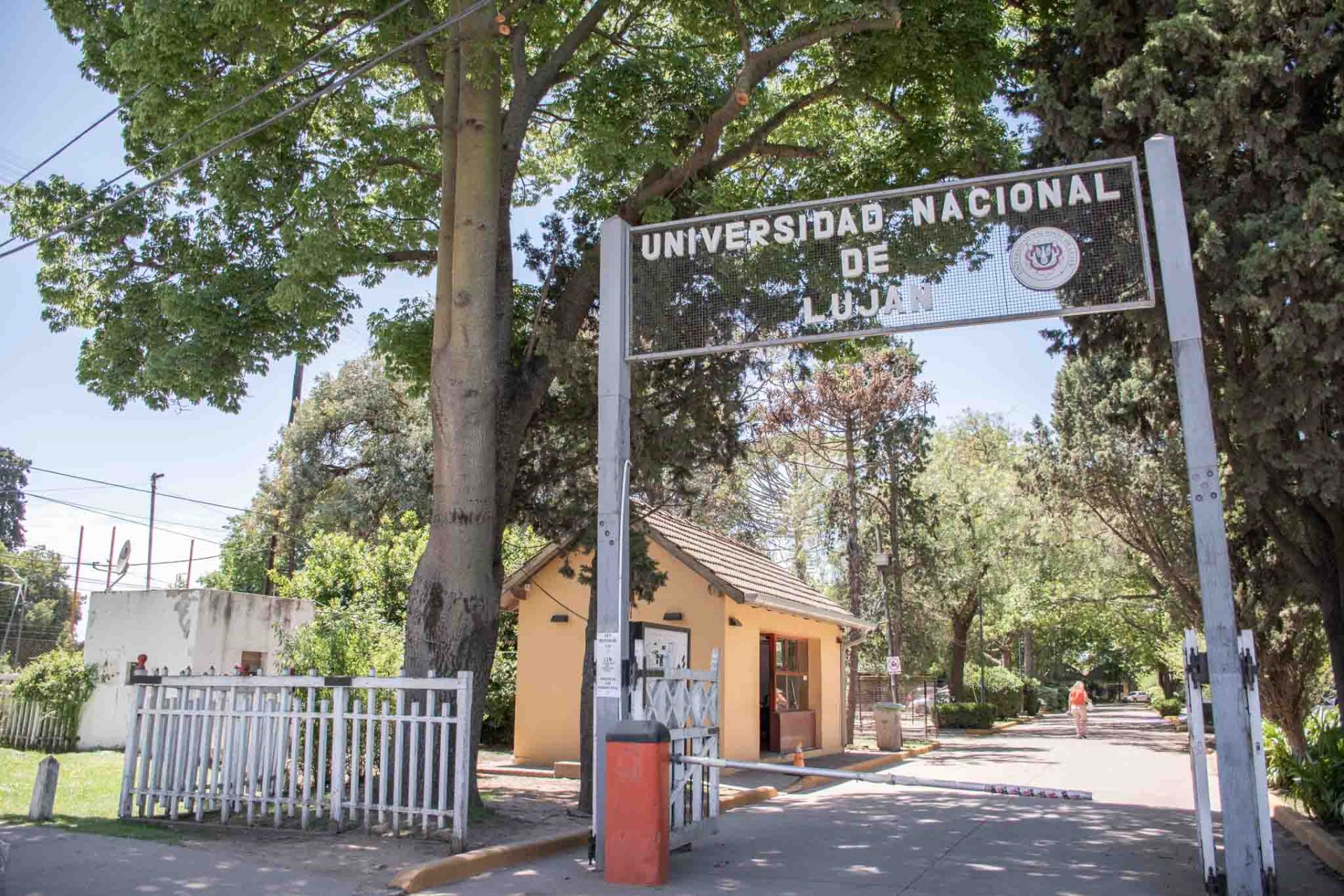 Ley Ómnibus bis: habrá un filtro contra la creación de nuevas universidades