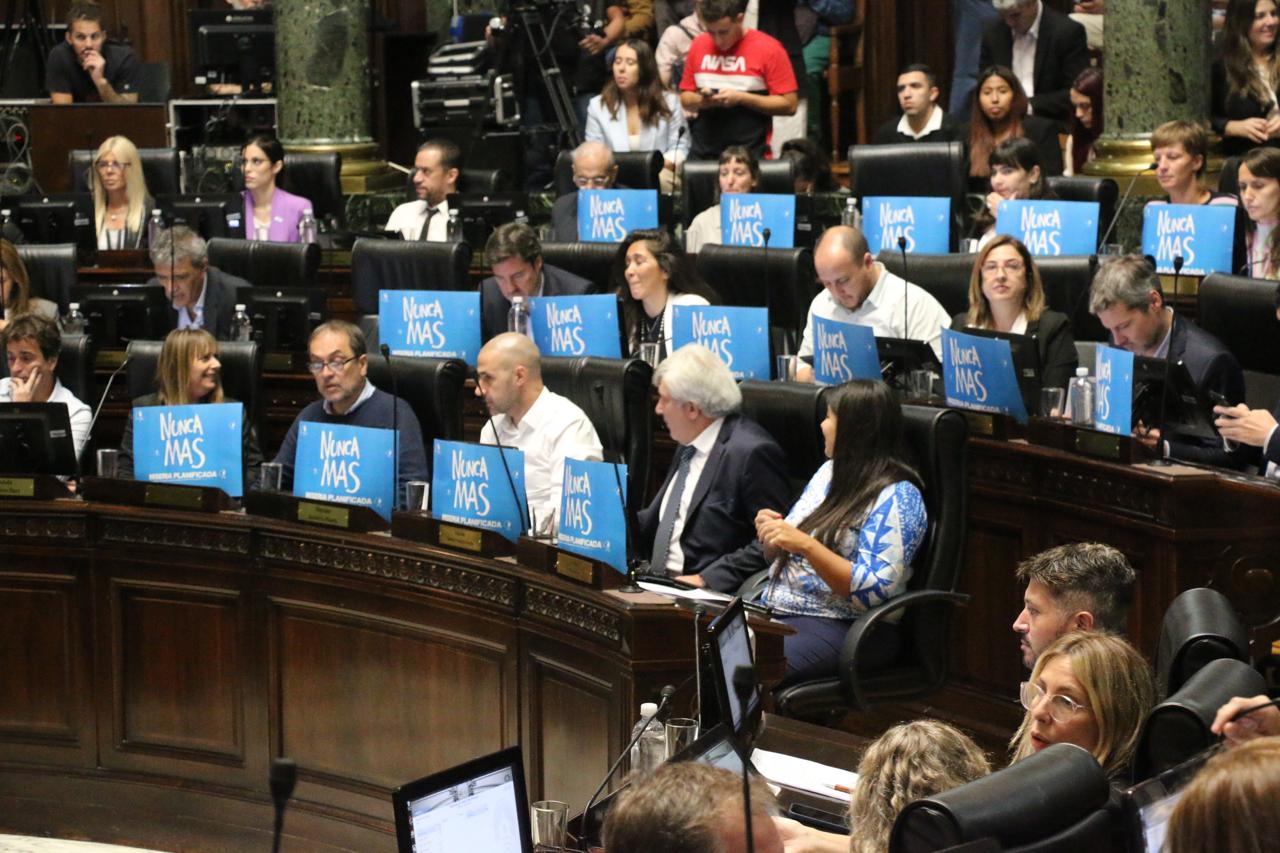 Peronismo porteño y el 24M: "Miseria Planificada" y justicia por H.I.J.O.S.