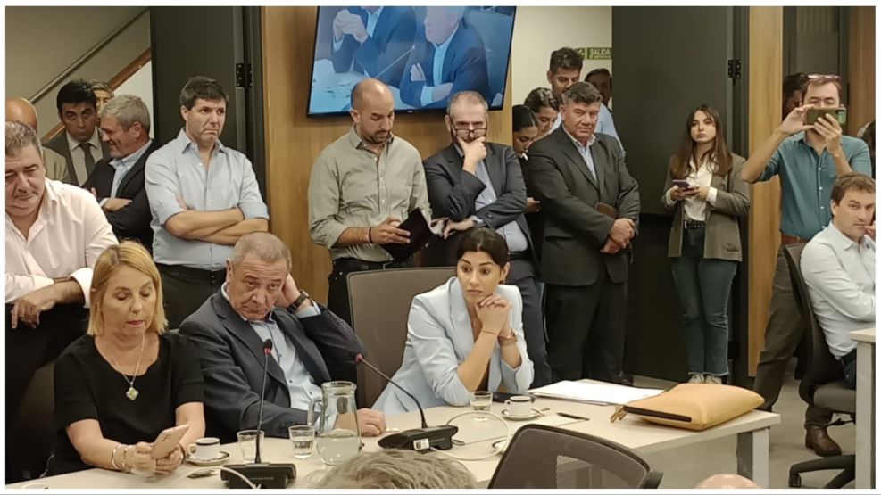 Guerra en LLA: eligen a Pagano en una Comisión y Martín Menem la desconoce