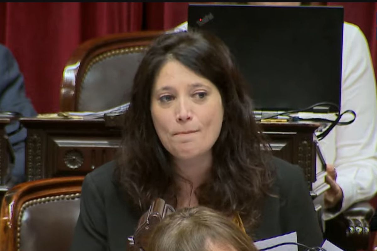 Ajmechet y la interna del Pro: “Debatimos si apoyar o jugar a ser oposición”