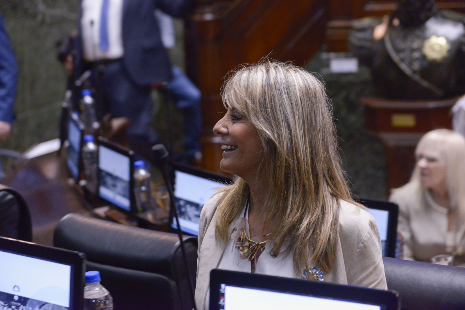 Glize presentó un proyecto para repudiar las amenazas narcos a Bullrich