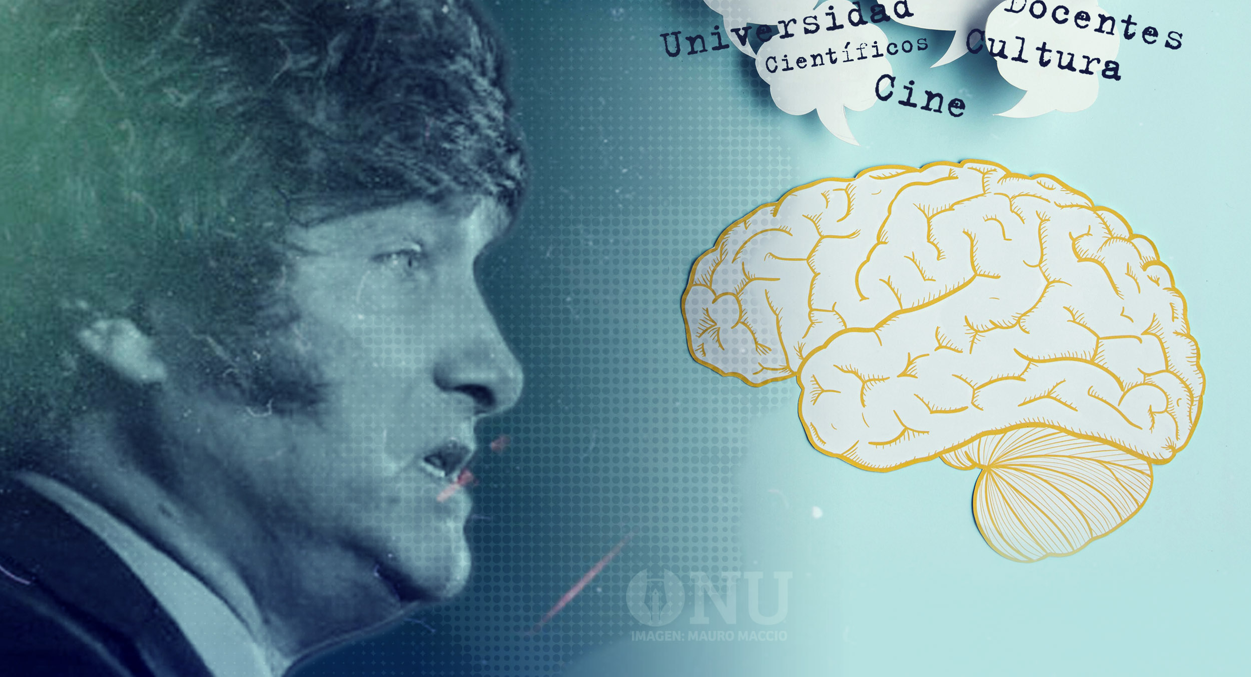 La guerra contra la inteligencia: el epítome del país que quieren los liberales