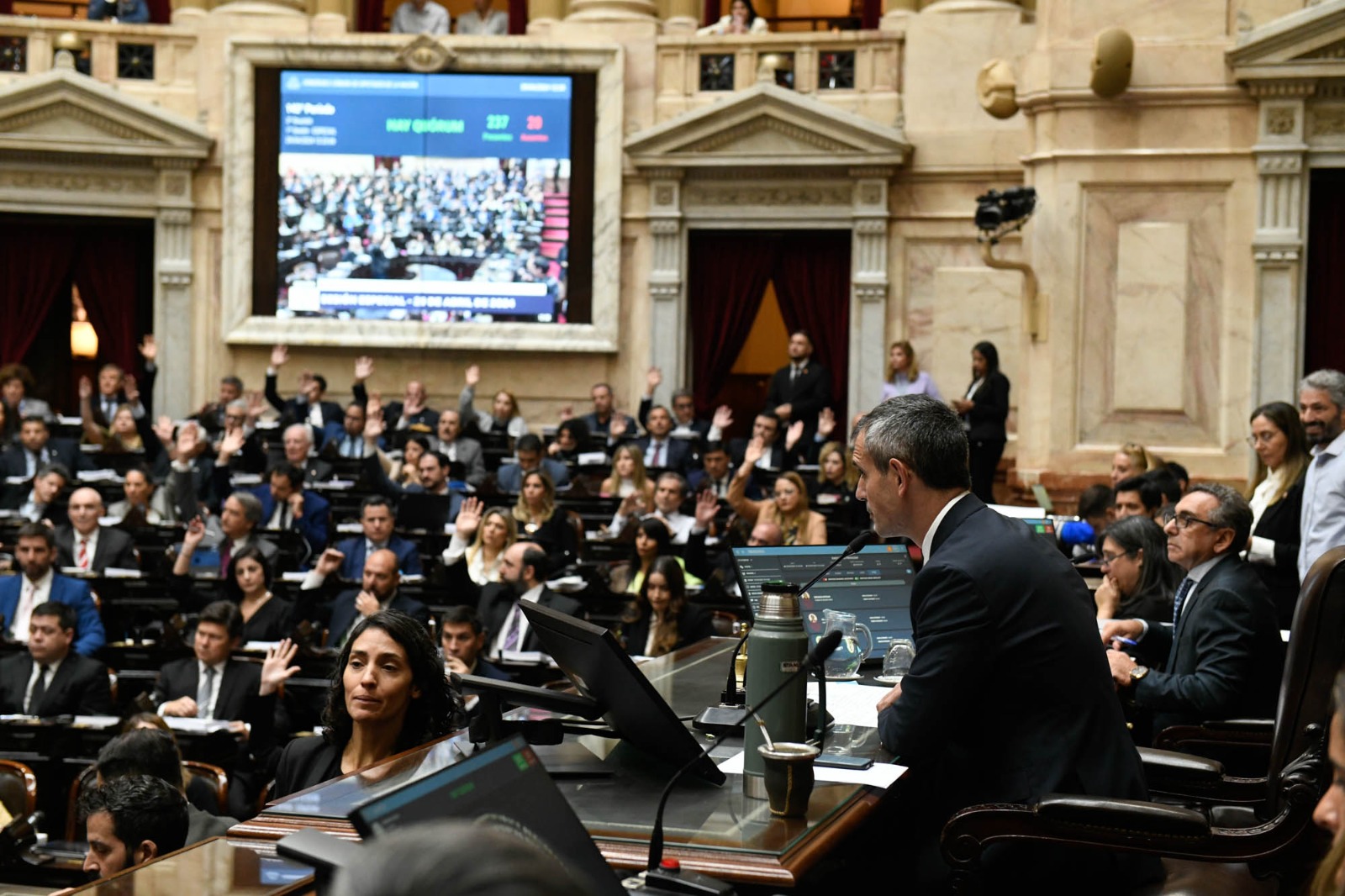 Ley Ómnibus 2: cruces, insultos y un debate largo en Diputados