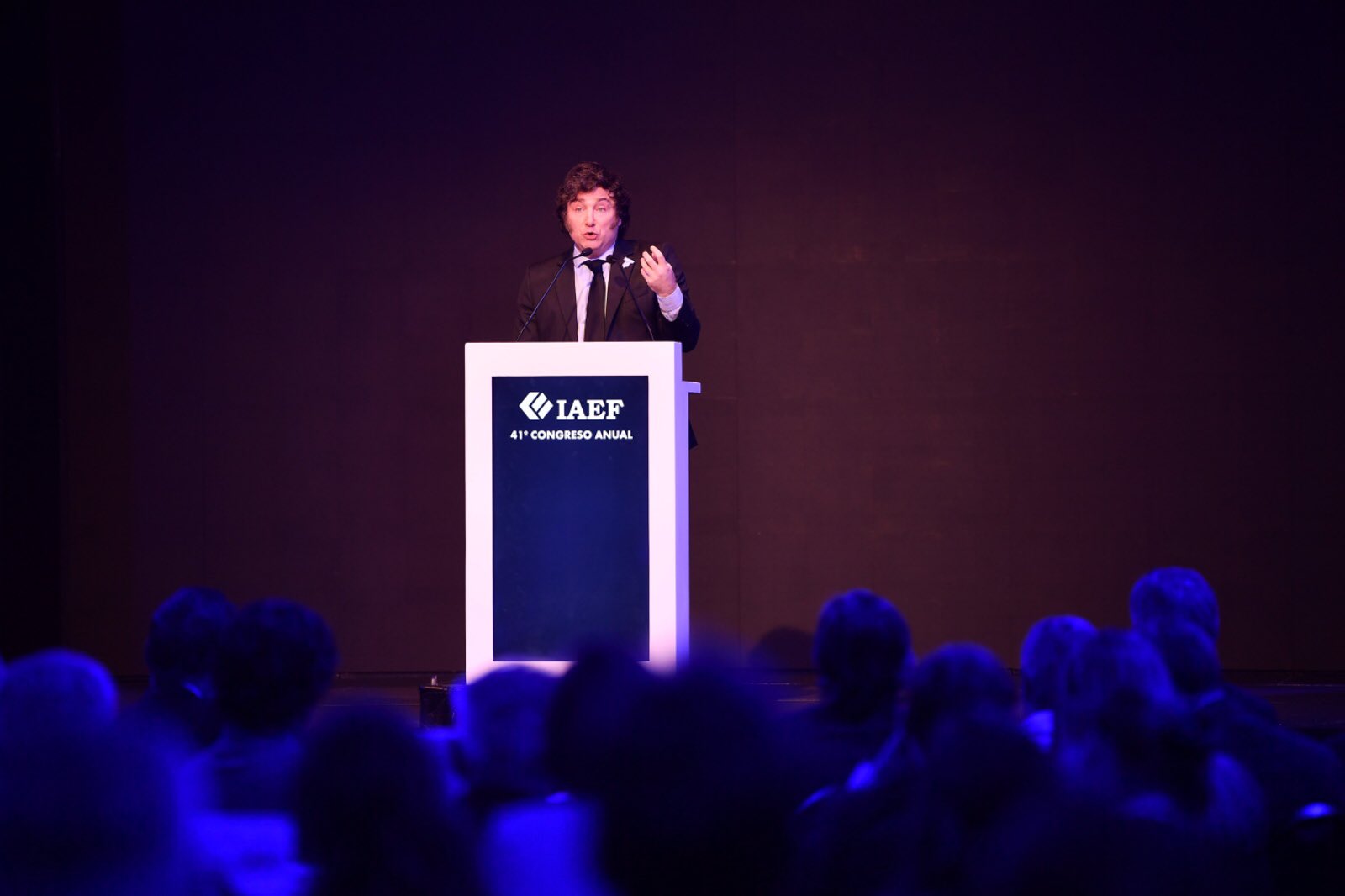 Milei criticó al Congreso: "Voy a vetar lo que rompa el equilibrio fiscal"