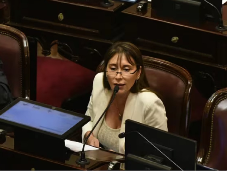 Una senadora de UP cargó contra Milei: "Enfermo mental”