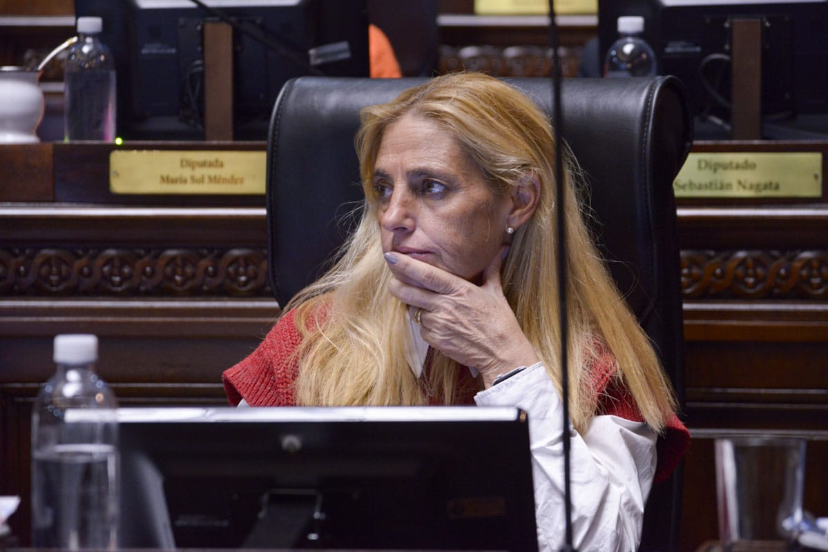 "La Legislatura porteña habla del ELA"