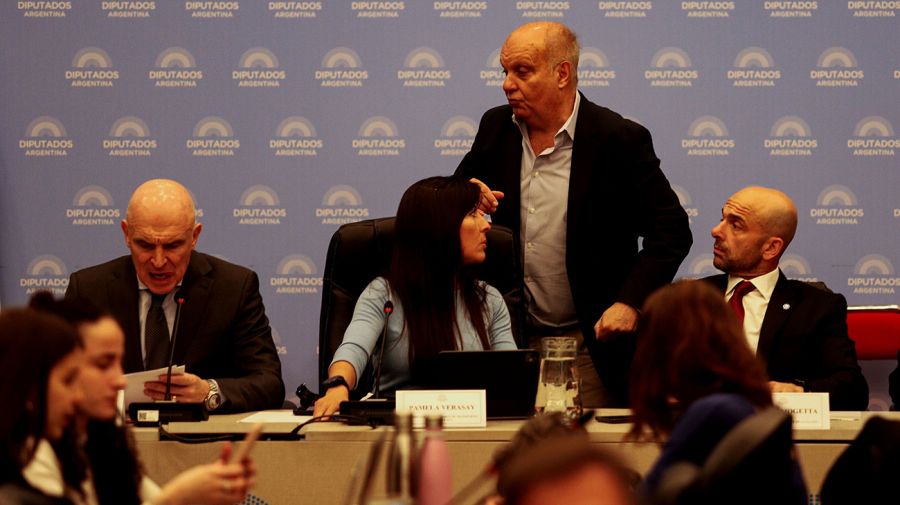 Privatización de Aerolíneas: LLA no logró los apoyos y el debate continúa