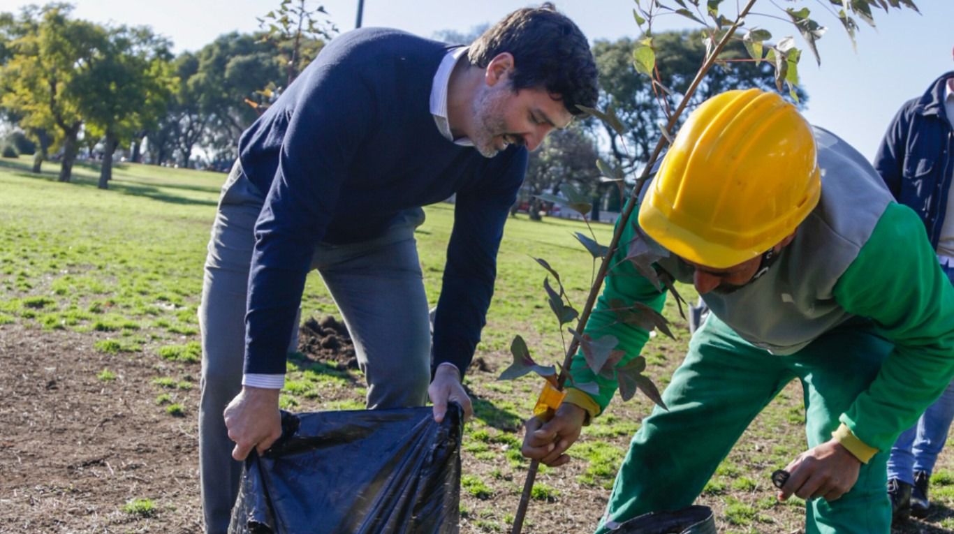 Gobierno porteño completó el Plan de Arbolado 2024 y recuperó lo perdido por las tormentas