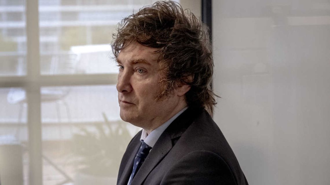 Milei habló después de la marcha: “Me apena que hayan sido usados"