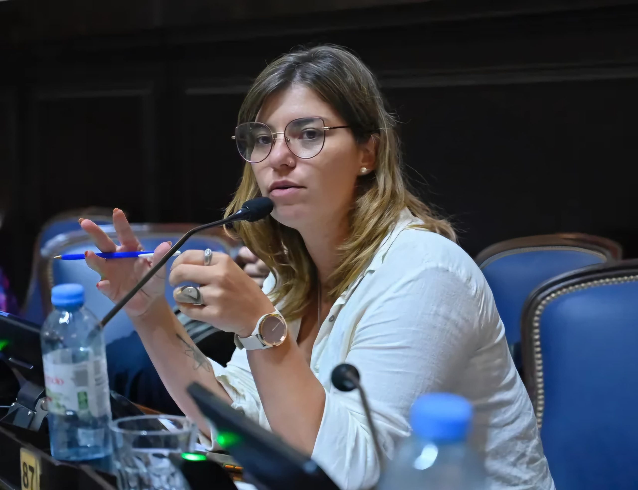 Una diputada bonaerense cuestionó una medida del Gobierno