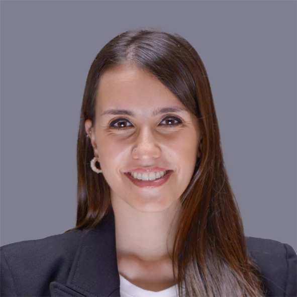 Desde el radicalismo porteño festejaron la media sanción de Ficha Limpia