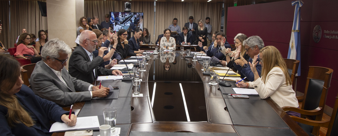 Consejo de la Magistratura porteño se pronunció por el fallo Levinas