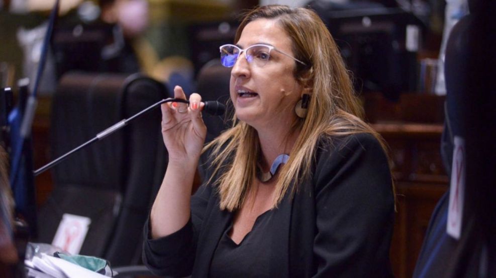 Neira: "Macri le entregó Seguridad al jefe de la represión del Borda"