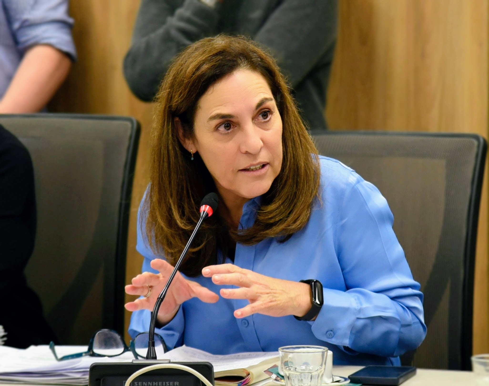 Carrizo: “Necesitamos un nuevo régimen penal juvenil”